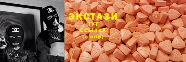 ПСИЛОЦИБИНОВЫЕ ГРИБЫ Гусь-Хрустальный