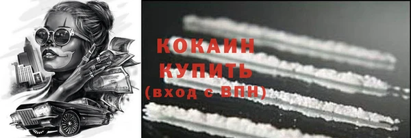 ПСИЛОЦИБИНОВЫЕ ГРИБЫ Гусь-Хрустальный