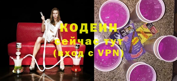 ПСИЛОЦИБИНОВЫЕ ГРИБЫ Гусь-Хрустальный