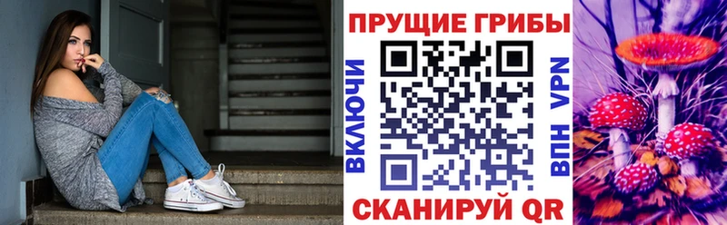 Галлюциногенные грибы Psilocybe  Долинск 